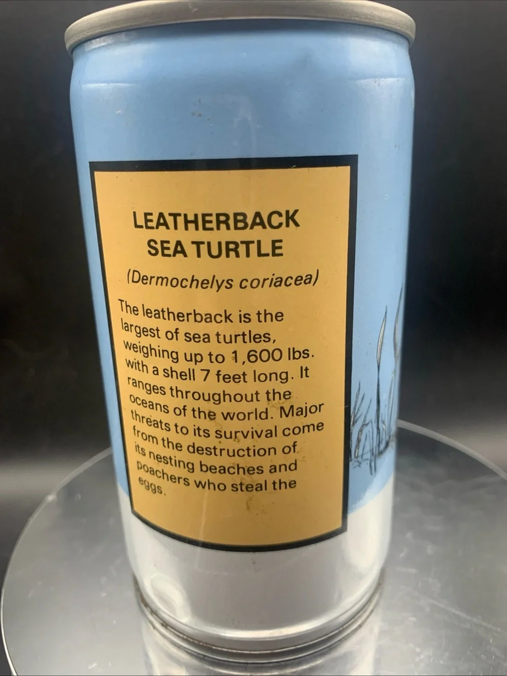 Vintage Beer Can Brickskeller Beer Leatherback Sea Turtle Pull Tab Empty